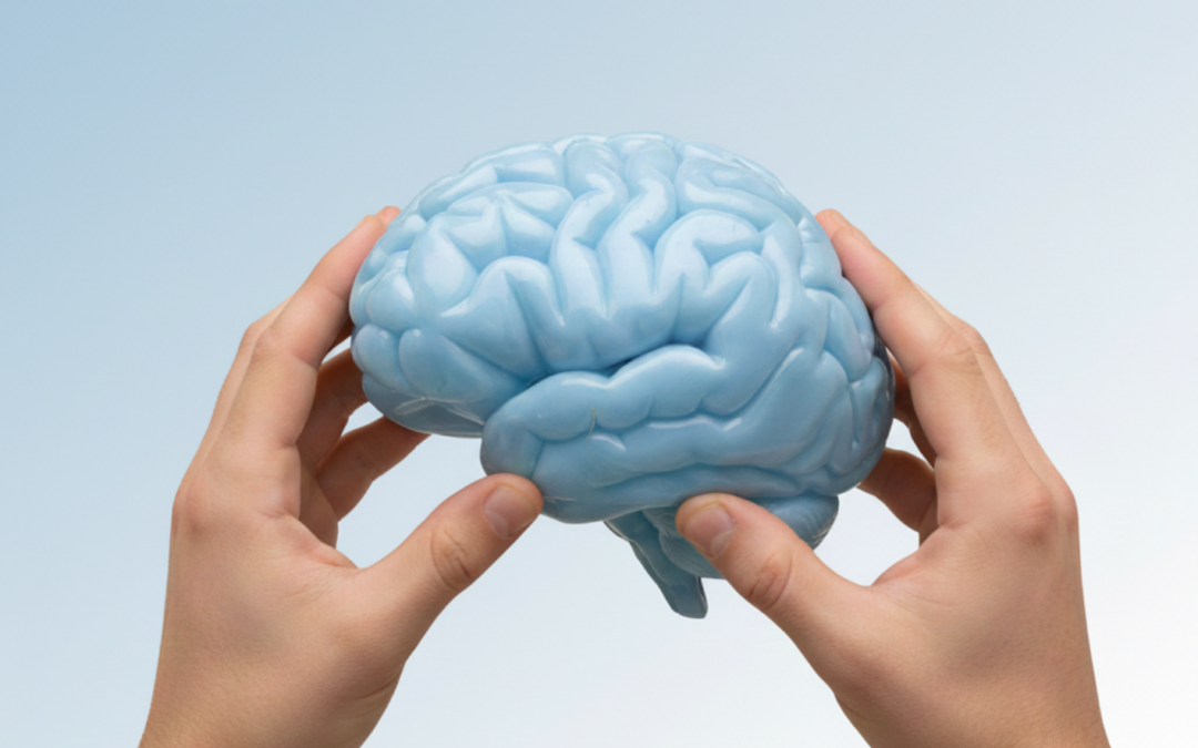 Neuroplastizität nutzen: Wie du dein Gehirn neu programmierst